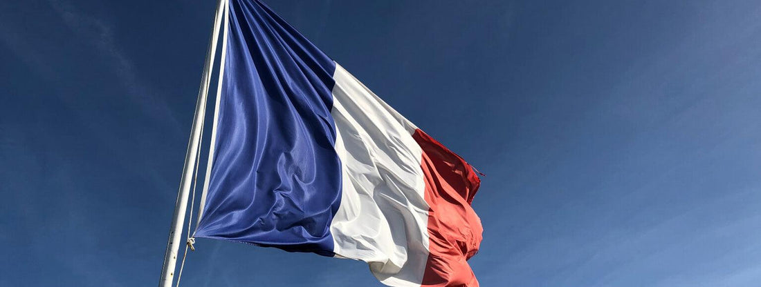 A Guide to The French Wine Regions & Their Individual Styles - Suburban BottleStore
