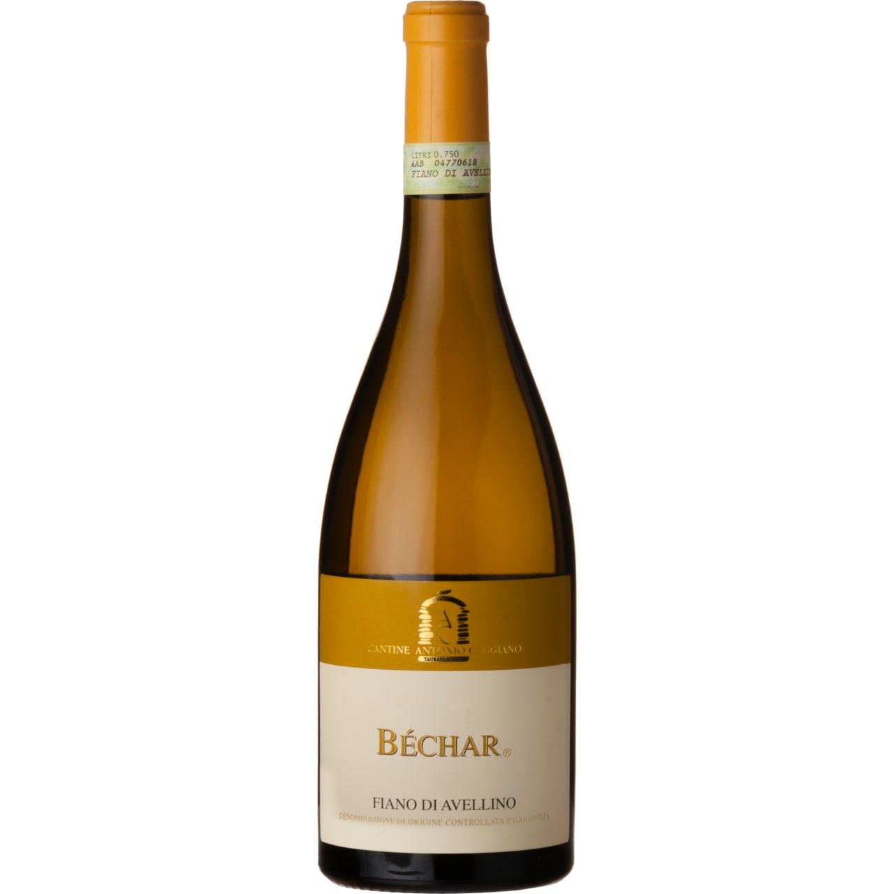 Fiano di Avellino Bechar, Antonio Caggiano - Suburban BottleStore