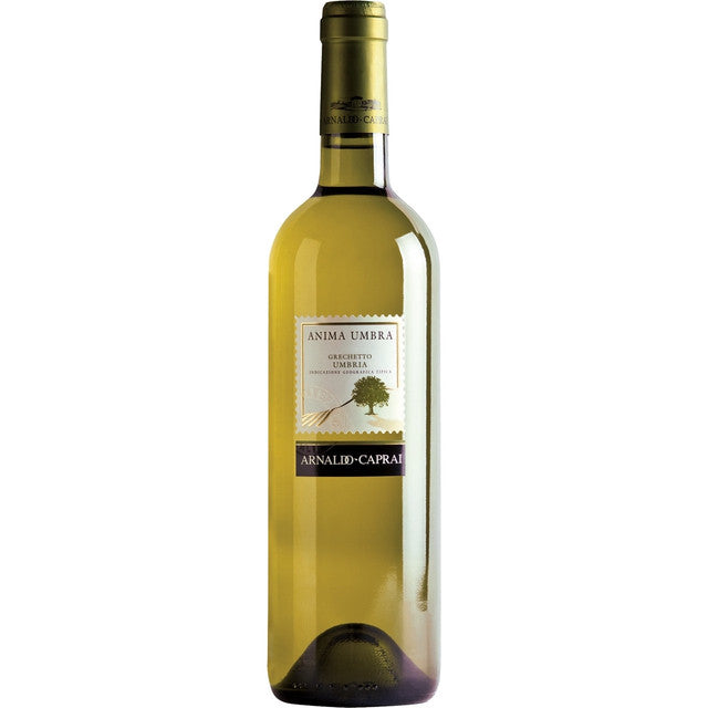 Fragrant, fruity, yellow peach with light freesia and mineral notes.