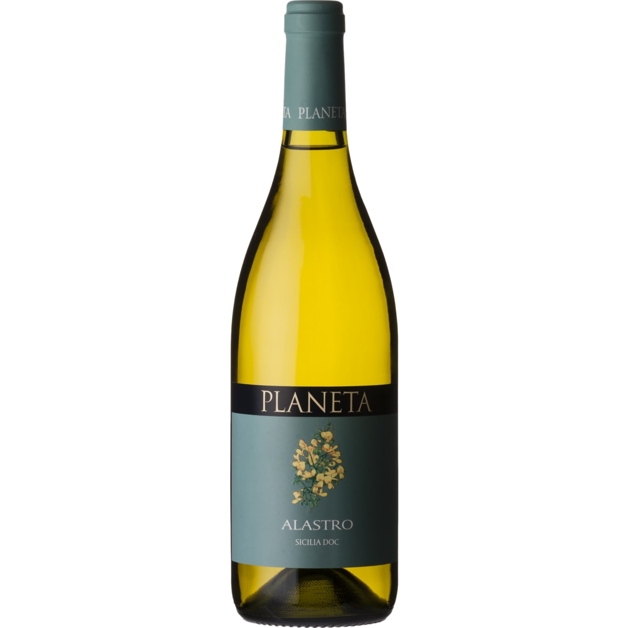 A blend of Grillo and Sauvignon Blanc. Peachy nose, with hints of vanilla, jasmine and green tea.