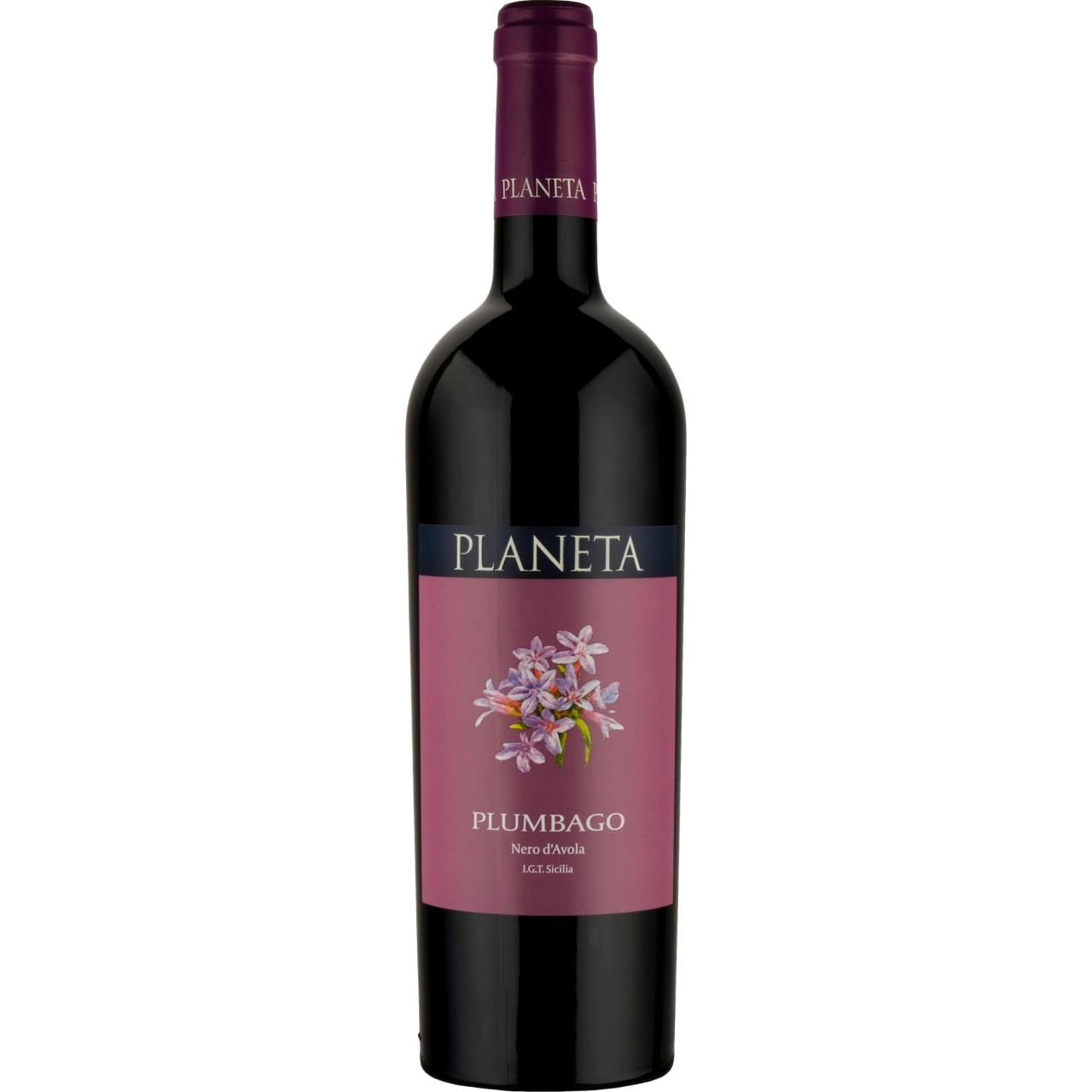 Soft tannins and roundness characterise this juicy, fruit laden wine.