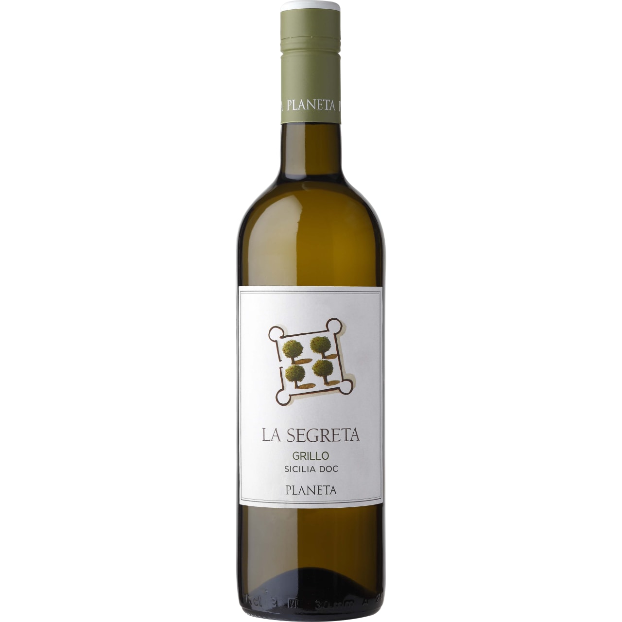 Aromas of citrus, white peach and tropical fruit. Fresh and smooth on the palate.